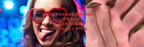 стаф Алексин