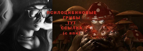 стаф Алексин
