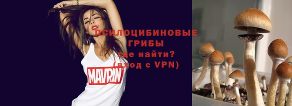 стаф Алексин