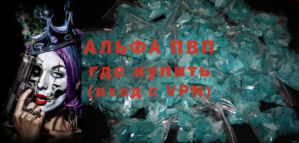 стаф Алексин