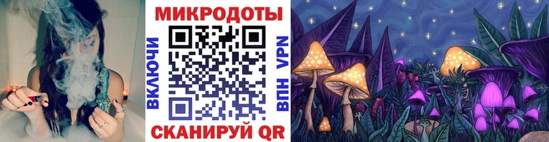 как найти   Сенгилей  Псилоцибиновые грибы MAGIC MUSHROOMS 